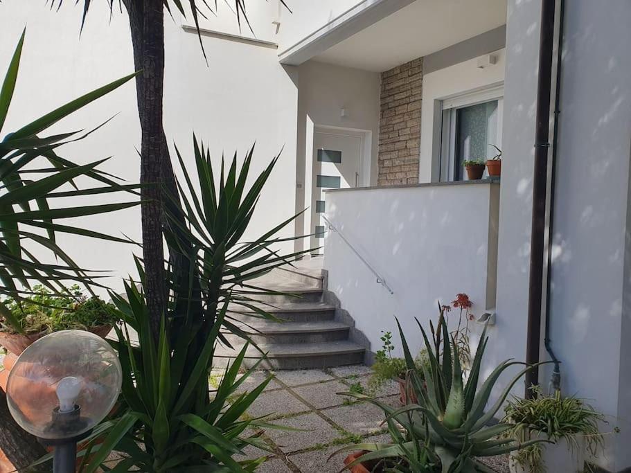 Lecci Al Mare Leilighet San Vincenzo Eksteriør bilde